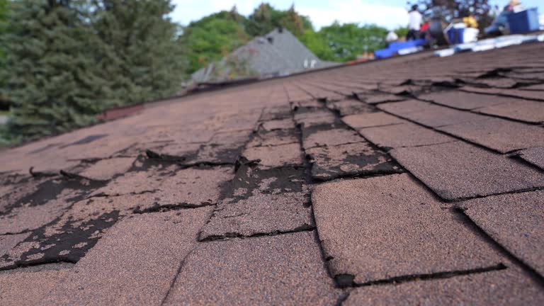 Best Roof Insulation Installation  in Anna, TX